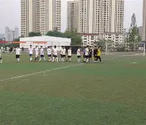 欧博官网体育下载-传球助攻算助攻吗